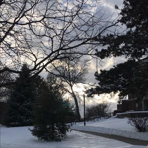 Meet your Posher, Lynn